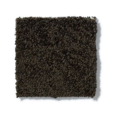 Anderson Tuftex Pet Perfect IZZY Bristol 00704_Z6950