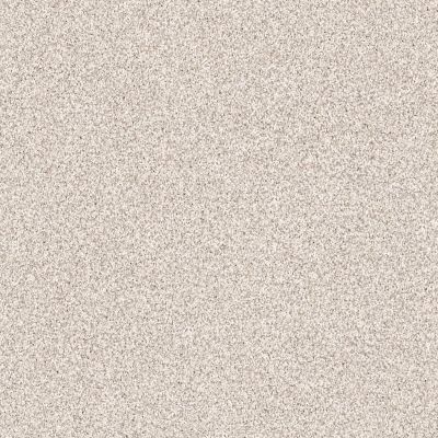 Shaw Floors Anso Colorwall GOLD TEXTURE TONAL Casa Blanca 00197_EA578