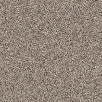 Shaw Floors Anso Colorwall GOLD TEXTURE TONAL Park Avenue 00194_EA578
