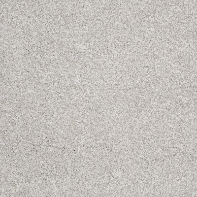 Shaw Floors Anso Colorwall GOLD TEXTURE TONAL Sequoia Park 00191_EA578
