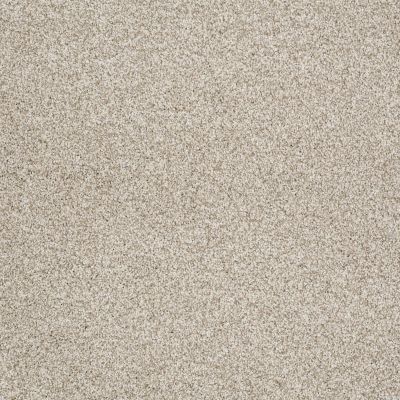 Shaw Floors Anso Colorwall GOLD TEXTURE TONAL Anchorage 00192_EA578