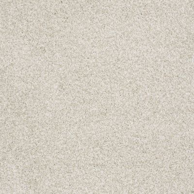 Shaw Floors Anso Colorwall GOLD TEXTURE TONAL Denali 00290_EA578