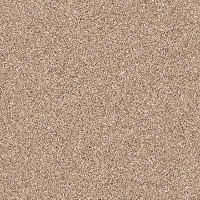 Shaw Floors Anso Colorwall GOLD TEXTURE TONAL Hidden Treasure 00791_EA578