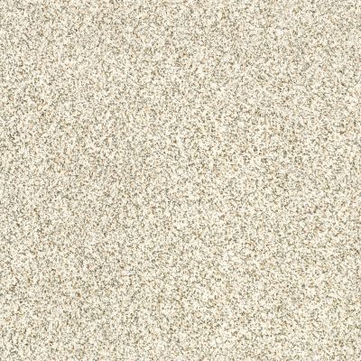 Anderson Tuftex DELICATE DISTINCTION CLASSIC I Cliff 0144B_BCC17