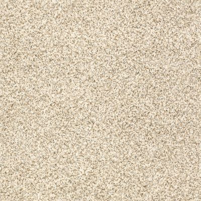 Anderson Tuftex DELICATE DISTINCTION CLASSIC I Cream Tea 0240B_BCC17