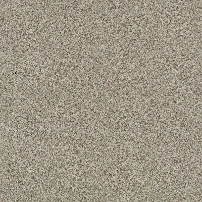 Anderson Tuftex DELICATE DISTINCTION CLASSIC I Drizzle 0340B_BCC17