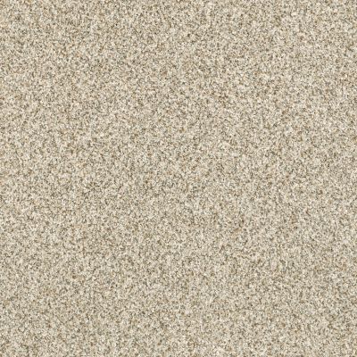 Anderson Tuftex DELICATE DISTINCTION CLASSIC I Celtic 0341B_BCC17