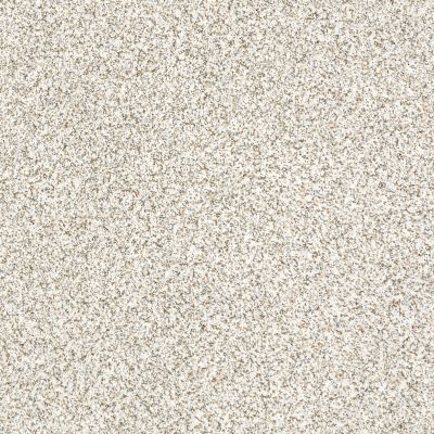 Anderson Tuftex DELICATE DISTINCTION CLASSIC I Baybridge 0440B_BCC17