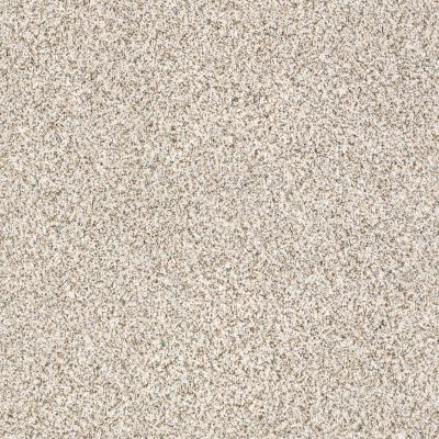 Anderson Tuftex DELICATE DISTINCTION CLASSIC I Heath 0540B_BCC17