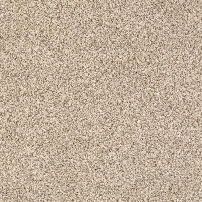 Anderson Tuftex DELICATE DISTINCTION CLASSIC I Cavern 0740B_BCC17