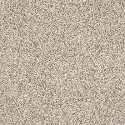 Anderson Tuftex DELICATE DISTINCTION CLASSIC I Granite 0741B_BCC17