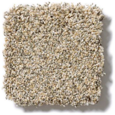 Anderson Tuftex Pet Perfect Best Friend Sand Dune 00223_16SSF