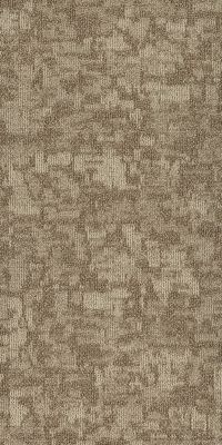 Philadelphia Commercial Arid Dunes 00214_54848