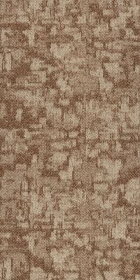 Philadelphia Commercial Arid Mesa 00801_54848