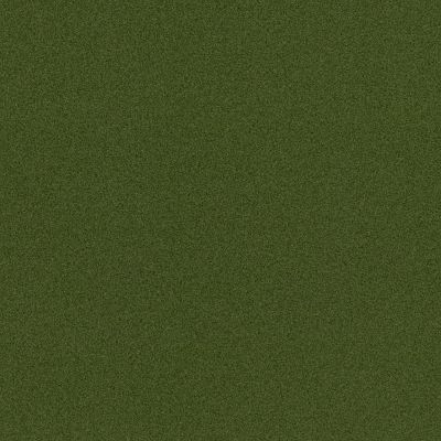 Shaw Grass TIPS PRO 0.5