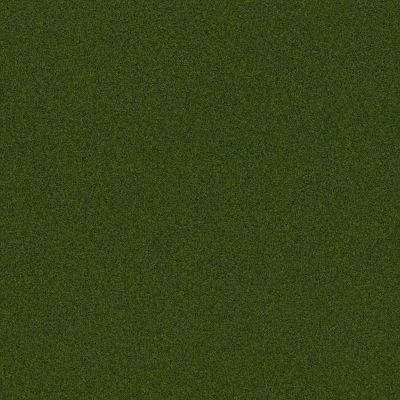 Shaw Grass TIPS PRO 0.5