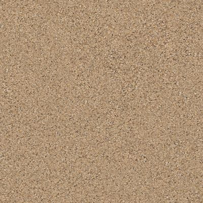 Shaw Floors Abilene I Bridle Leather 00270_5E821