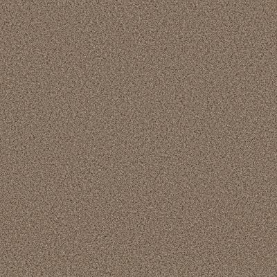Shaw Floors Abilene I Arrowhead 00770_5E821