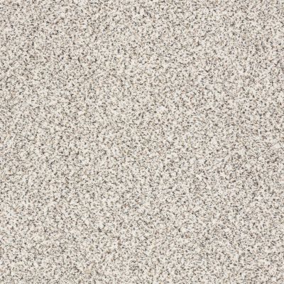Shaw Floors ANSO COLORWALL Gold Texture Accents Artifact 00183_EA759