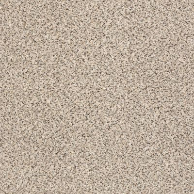 Shaw Floors ANSO COLORWALL Gold Texture Accents Bistro 00184_EA759