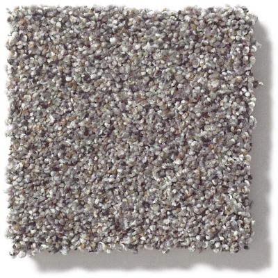 Shaw Floors ANSO COLORWALL Gold Texture Accents Graphite 00581_EA759