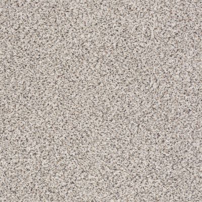 Shaw Floors Anso Colorwall PLATINUM TEXTURE ACCENTS Carrara 00180_EA760