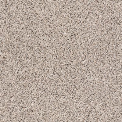 Shaw Floors ANSO COLORWALL Platinum Texture Accents Sculptor 00181_EA760