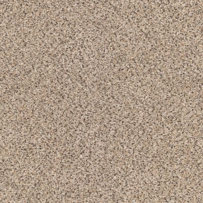 Shaw Floors ANSO COLORWALL Platinum Texture Accents Midtown 00182_EA760