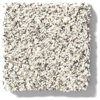 Shaw Floors Anso Colorwall PLATINUM TEXTURE ACCENTS Artifact 00183_EA760