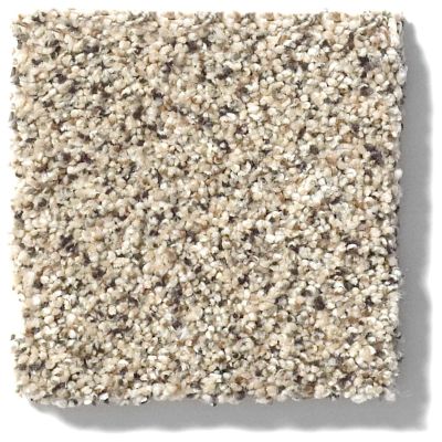 Shaw Floors Anso Colorwall PLATINUM TEXTURE ACCENTS Bistro 00184_EA760