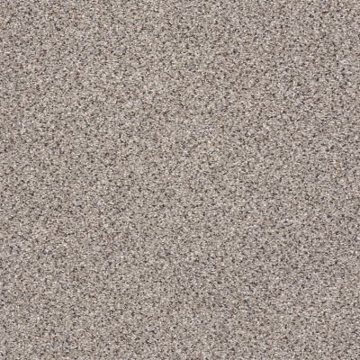 Shaw Floors ANSO COLORWALL Platinum Texture Accents Quartz 00580_EA760