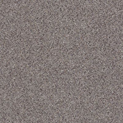 Shaw Floors ANSO COLORWALL Platinum Texture Accents Graphite 00581_EA760