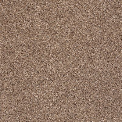 Shaw Floors ANSO COLORWALL Platinum Texture Accents Pegasus 00780_EA760