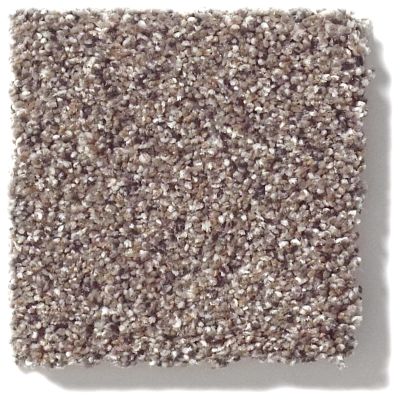 Shaw Floors ANSO COLORWALL Platinum Texture Accents Granite 00781_EA760