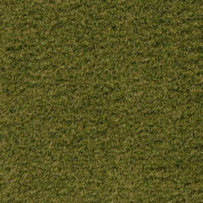 Shaw Grass FRESH RYE 1.5