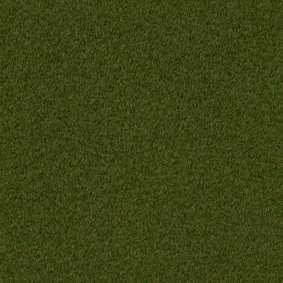 Shaw Grass SUMMER RYE 2