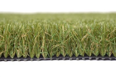Shaw Grass SUMMER RYE 2