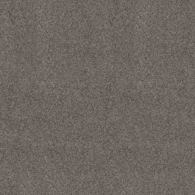 Shaw Floors PET PERFECT Bold Move Galaxy 00533_5E841