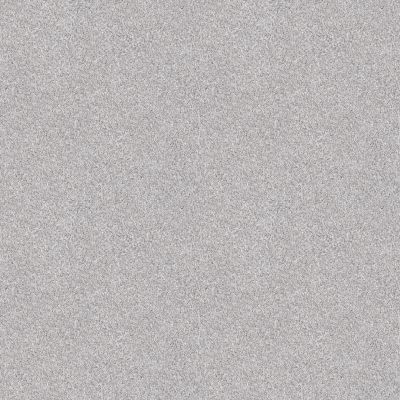 Shaw Floors PET PERFECT Influencer Silver Lining 00105_5E443