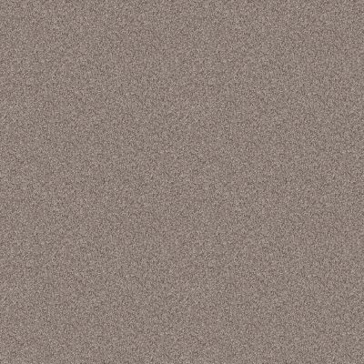 Shaw Floors PET PERFECT Influencer Chestnut 00108_5E443