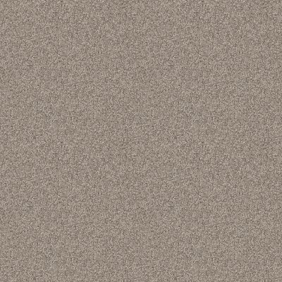 Shaw Floors PET PERFECT Influencer Sandstone 00110_5E443