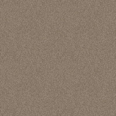 Shaw Floors PET PERFECT Influencer Raw Wood 00200_5E443