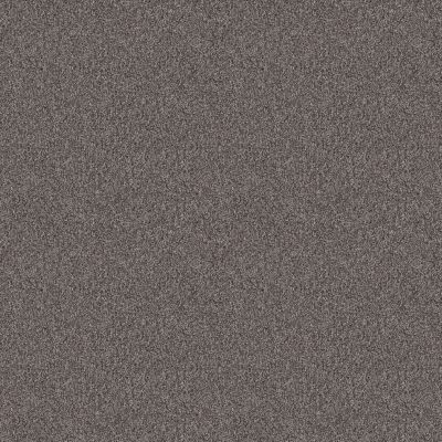 Shaw Floors PET PERFECT Influencer Desert View 00503_5E443