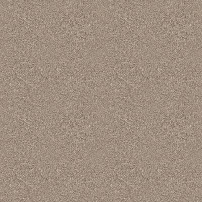 Shaw Floors PET PERFECT Influencer Baltic Stone 00700_5E443