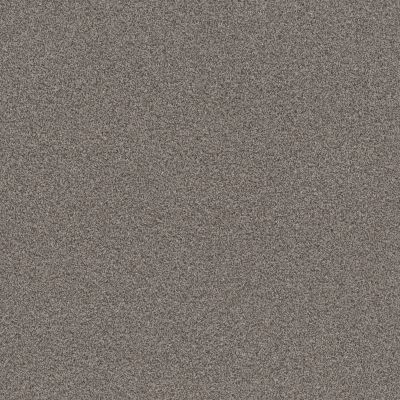 Shaw Floors PET PERFECT Influencer Fossil Path 00116_5E443