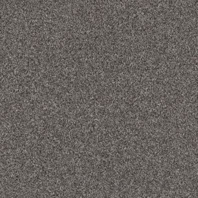 Shaw Floors PET PERFECT Influencer Sentimental 00510_5E443