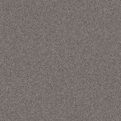 Shaw Floors PET PERFECT Influencer River Run 00513_5E443