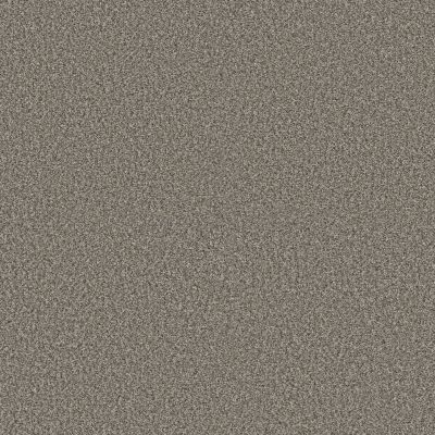 Shaw Floors PET PERFECT Bold Move Country Pebble 00121_5E841