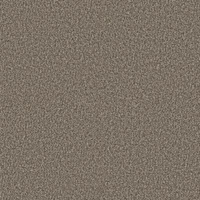 Shaw Floors PET PERFECT Bold Move Bit Of Beige 00122_5E841