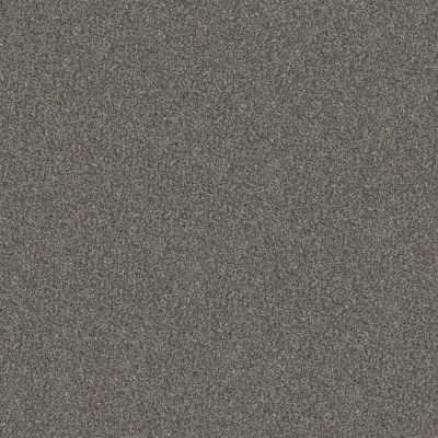 Shaw Floors PET PERFECT Bold Move Blue Steel 00433_5E841